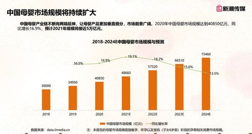 Adobe母婴品牌战略与市场表现