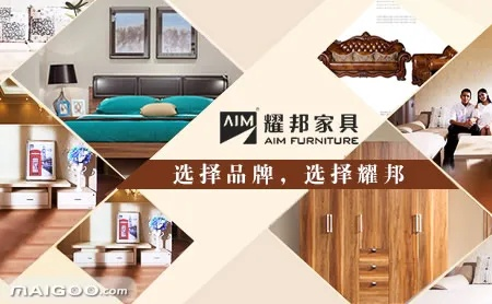 家居品牌成功案例分析