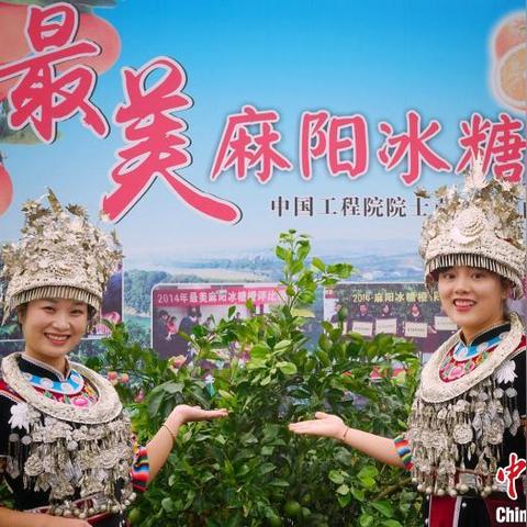 怀化白酒地图，从酒鬼酒到苗乡佳酿的厂企巡礼