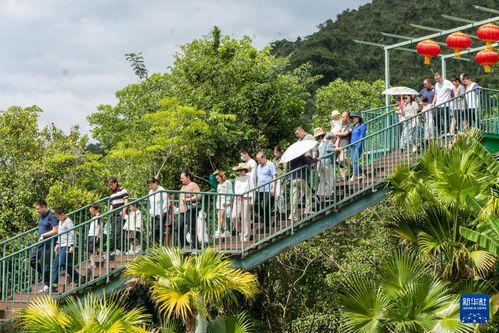 春节去哪玩？2024全网最全景点排行榜+反向旅游攻略，看完少花冤枉钱