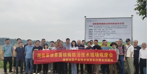 酉阳智慧管廊技术服务公司，智慧城市新基建的实践者与领航者