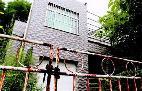 乡村平房加高层的那些门道，从基础加固到设计升级的实战指南