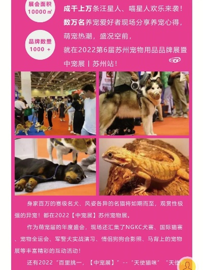 苏州萌宠店加盟品牌推荐—探秘热门加盟品牌