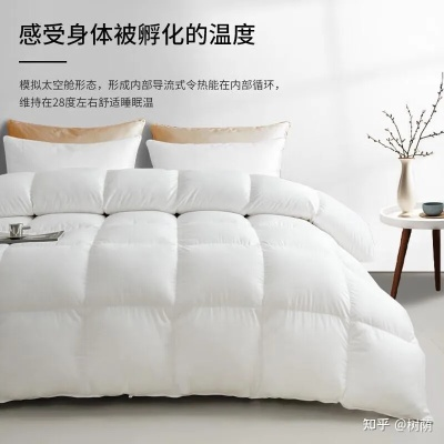 二合一鸭绒被到底值不值？优缺点全解析+选购指南