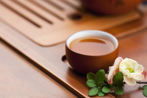 荷花茶香伴夏浓，从品牌命名看中国茶文化新表达