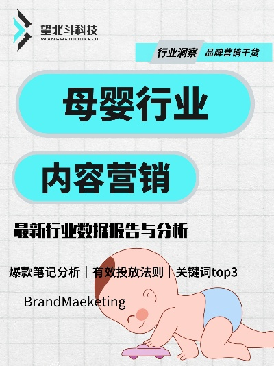 母婴品牌经营策略与案例分析