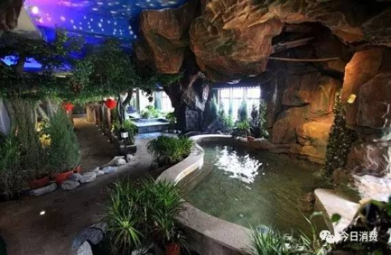 新乡洗浴游玩景点排行榜，泡汤、赏景两不误的宝藏地指南