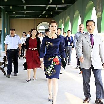 网站被挂广告怎么办？三步教你彻底搞定，附案例与防坑指南