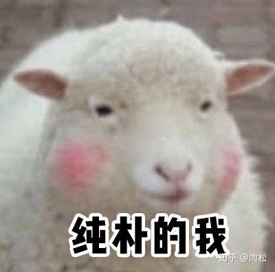 羊小咩便荔卡取现最简单处理 羊小咩便荔卡取现，简单处理指南与实用案例