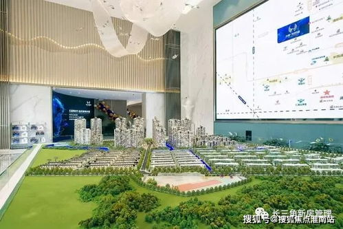 河南代购鸭绒被价格全解析，从几十到上千元如何选？