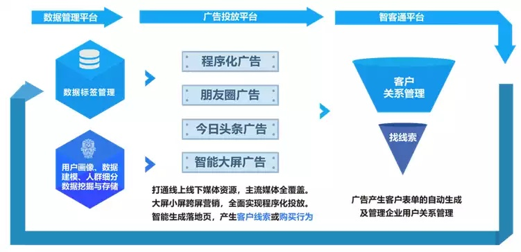网站广告案例研究，从流量密码到转化奇迹的实战复盘