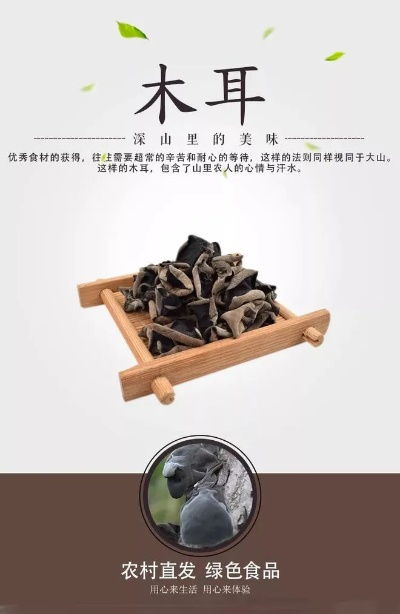 木耳加盟热门品牌排行榜揭晓