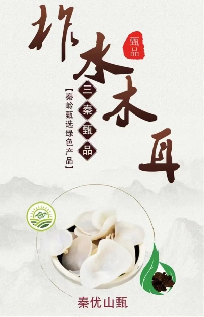 木耳加盟热门品牌排行榜揭晓