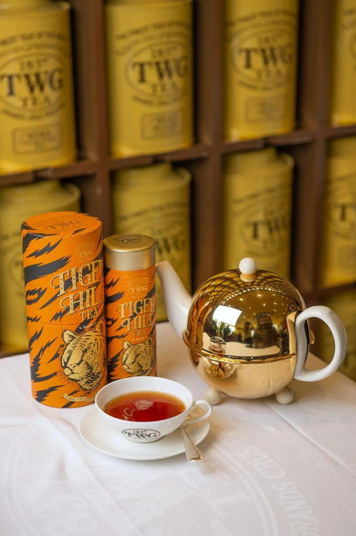 醇香厚味，茶韵悠长，十大口感醇香茶叶品牌深度解析与消费指南