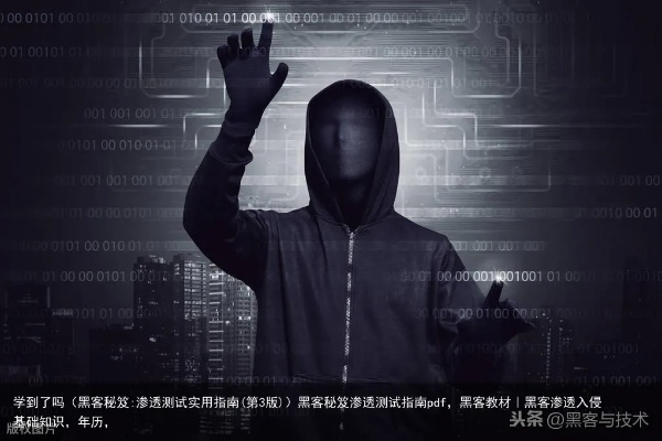 如何找到正规免费黑客？这份指南帮你避坑又涨知识！