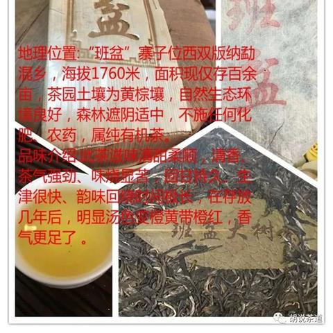 普洱油漆加盟店品牌推荐及案例分析