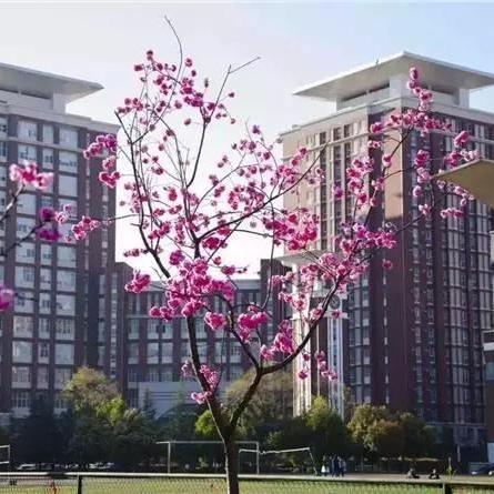 零基础学西点哪里容易上手？手把手教你选对学习方法