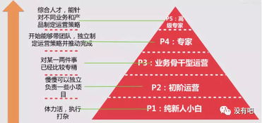 乡村规划师现状调查与职业发展路径分析