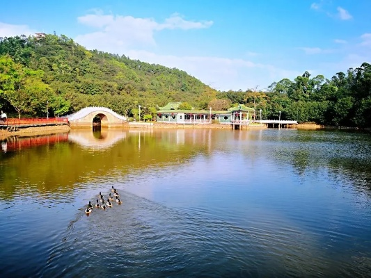鹤山游玩景点排行榜，必打卡的5大景点+隐藏玩法，附超全攻略