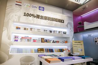 加盟艺术涂料品牌店指南
