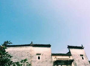春归故里，一场唤醒土地的乡村复兴之旅