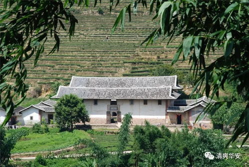 春归故里，一场唤醒土地的乡村复兴之旅