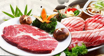韩式烤肉加盟品牌推荐及案例分析