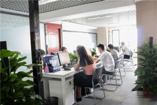 携手共创家居新未来