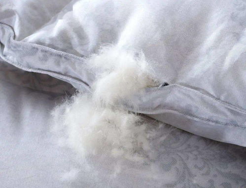 鸭绒被价格一百多贵吗？能买吗？一篇帮你避坑的选购指南