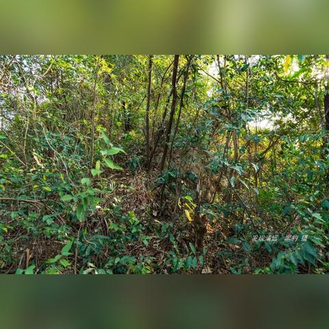 清远电线加盟店品牌推荐及案例分析