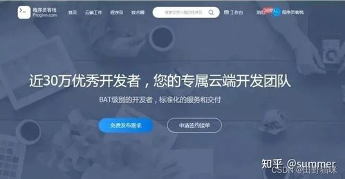 免费正规接单平台全解析，如何找到靠谱工作机会