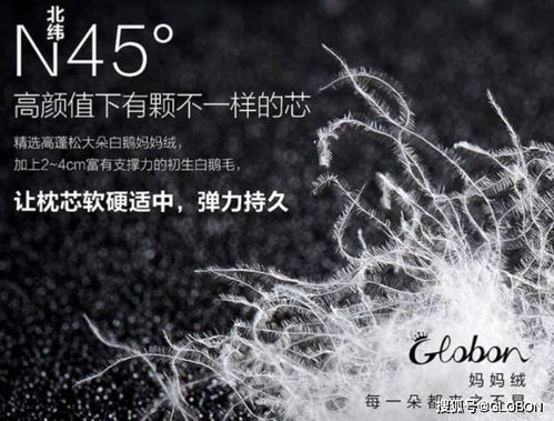 鸭绒被不钻毛的秘诀，从选购到保养的全方位指南