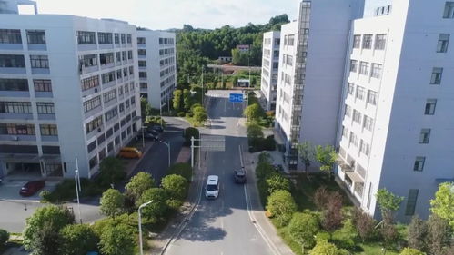 巫溪智慧管廊产业园，山城里的智慧交通新标杆