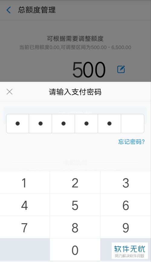 桃多多桃享卡额度管理与调额技巧