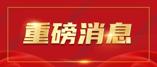 双流区网站广告全攻略，如何让您的品牌在本地市场脱颖而出