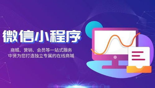 双流区网站广告全攻略，如何让您的品牌在本地市场脱颖而出