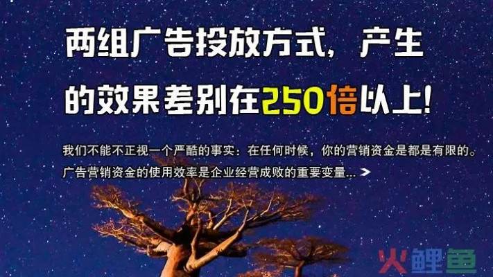 网站不带广告免费，为什么选择无广平台更值得信赖？