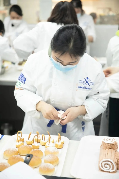 boys学西点指南，从零基础到职业发展的全攻略