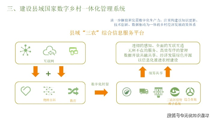 数字赋能乡村治理，从最后一公里到最后一米的蝶变