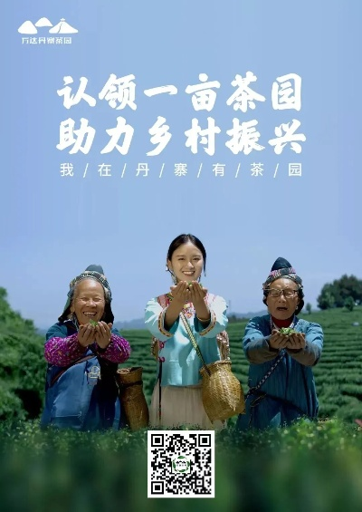 助农贷款助力茶叶品牌崛起，从田间到舌尖的乡村振兴故事