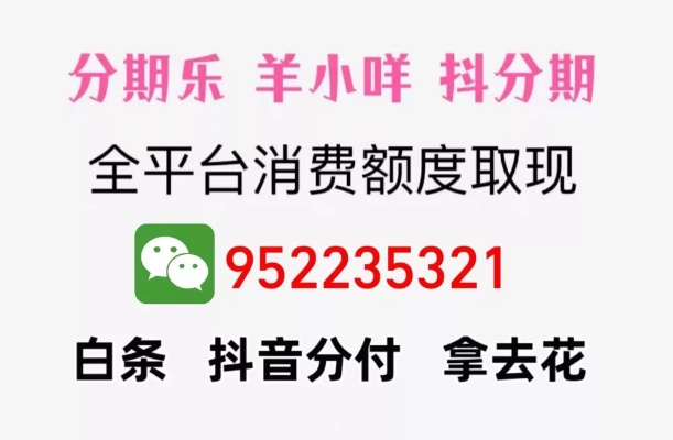 羊小咩享花卡取现申请 羊小咩享花卡取现申请全攻略，操作指南与案例分析