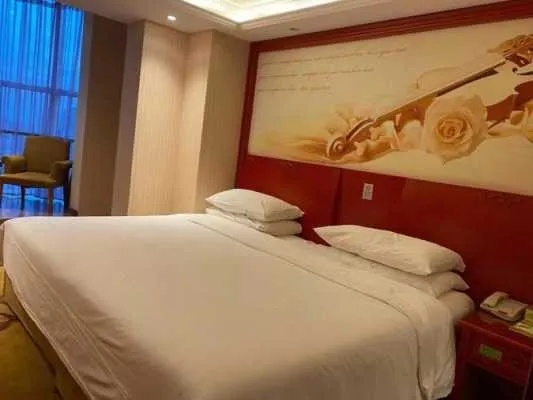 维也纳酒店app 查住宿记录 维也纳酒店APP查住宿记录详解