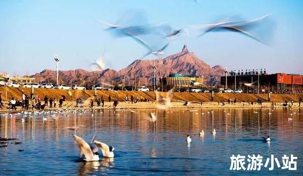 乌海旅游全攻略，10大必打卡景点+隐藏玩法，手把手教你玩转北疆小江南！