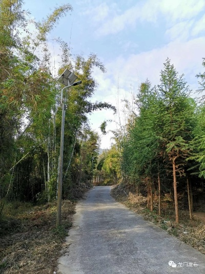 从桥头出发去吴坑乡村，一条充满乡愁的治愈之路