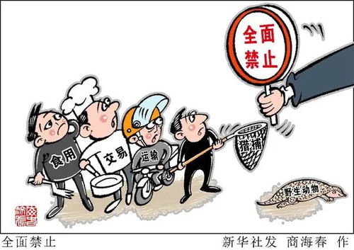 接单，正规与非法的界限