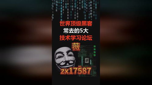 黑客追款24小时在线？揭秘合法追债新思路