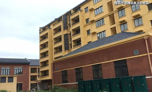 在网上平台提现不了 网上平台提现难题解析与应对之策
