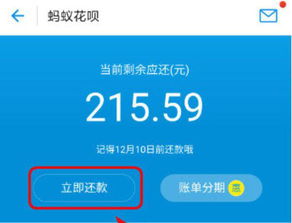 花呗油卡套出来多久到账 花呗油卡套现到账时间全解析