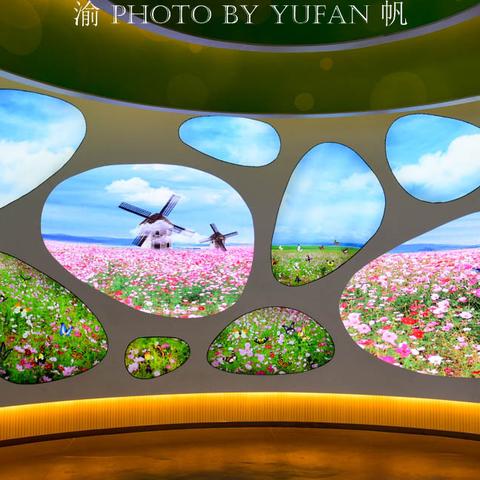 住宿记录怎么查 轻松查住宿记录，让生活更透明