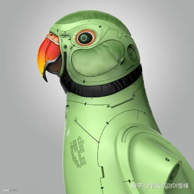 户外品牌鹦鹉造型系列，时尚与自然的完美融合